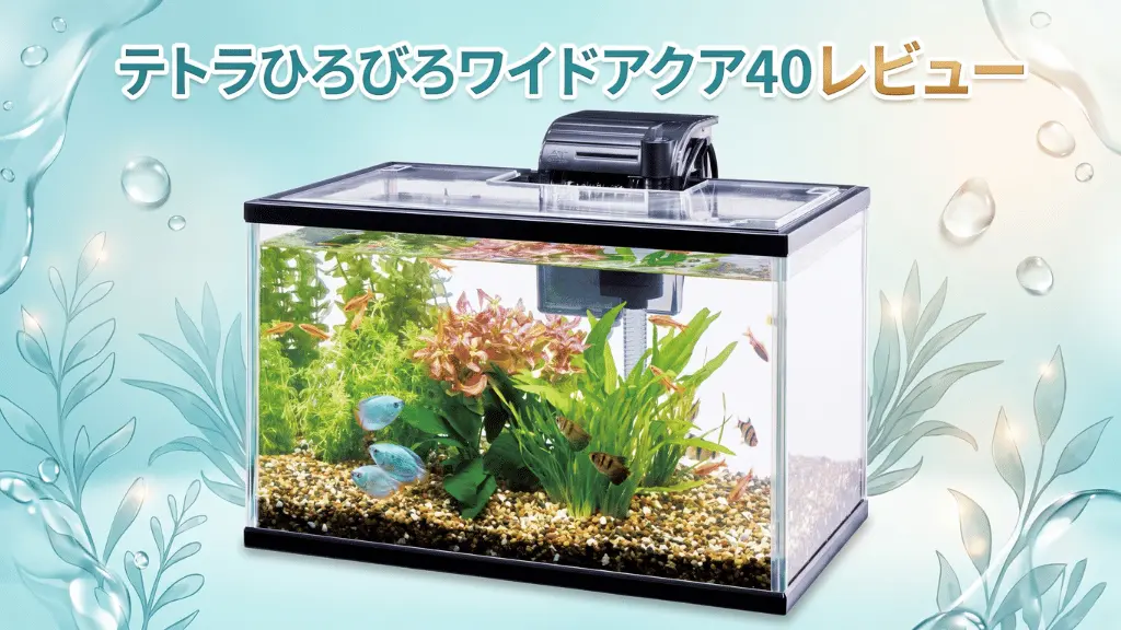 テトラひろびろワイドアクア40レビュー!メリットとデメリットを解説