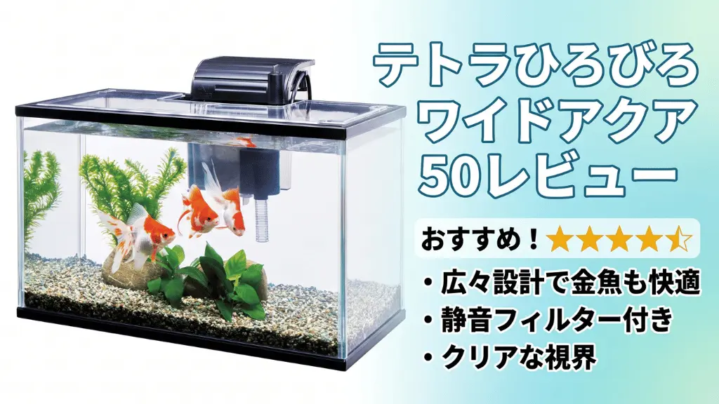 テトラひろびろワイドアクア50レビュー！メリットとデメリットを解説