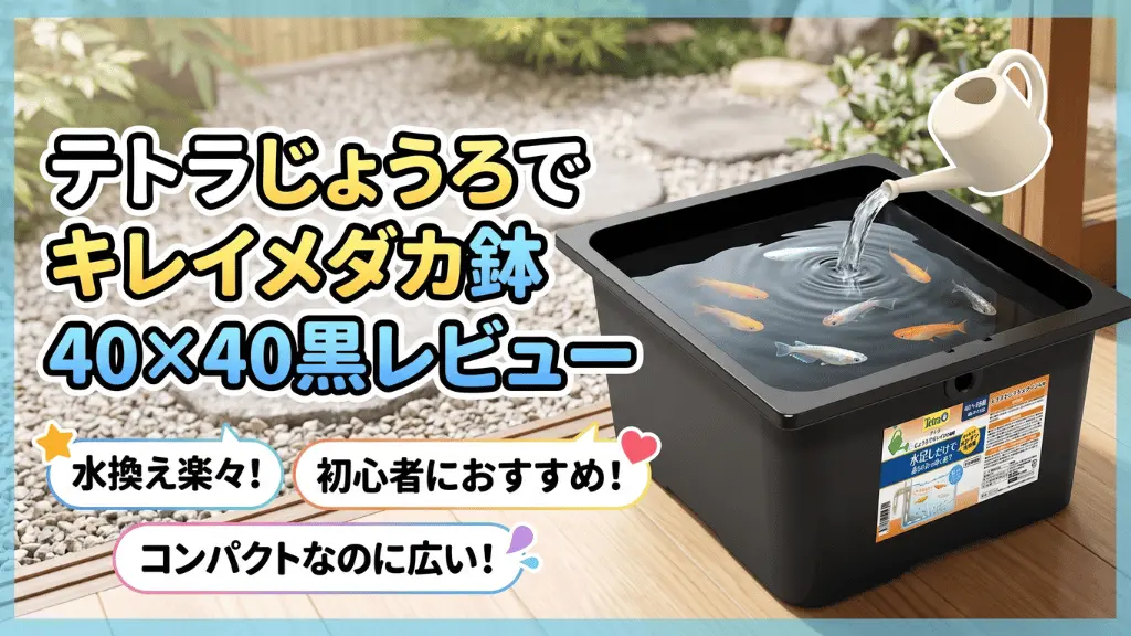 テトラじょうろでキレイメダカ鉢40×40黒レビュー！メリットとデメリットを解説