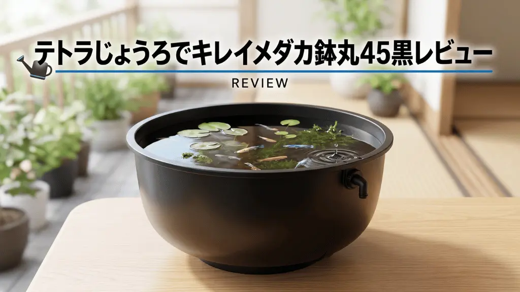 テトラじょうろでキレイメダカ鉢丸45黒レビュー！メリットとデメリットを解説