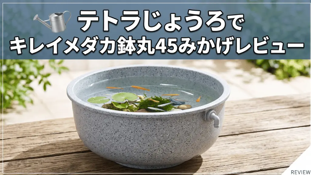 テトラじょうろでキレイメダカ鉢丸45みかげレビュー！メリットとデメリットを解説