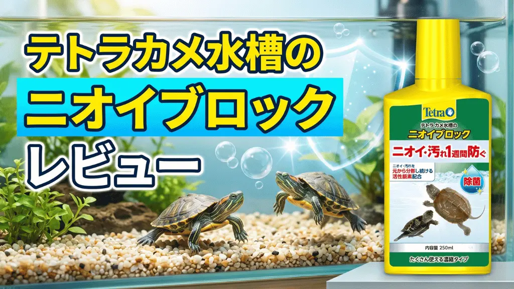 テトラカメ水槽のニオイブロックレビュー！メリットとデメリットを解説