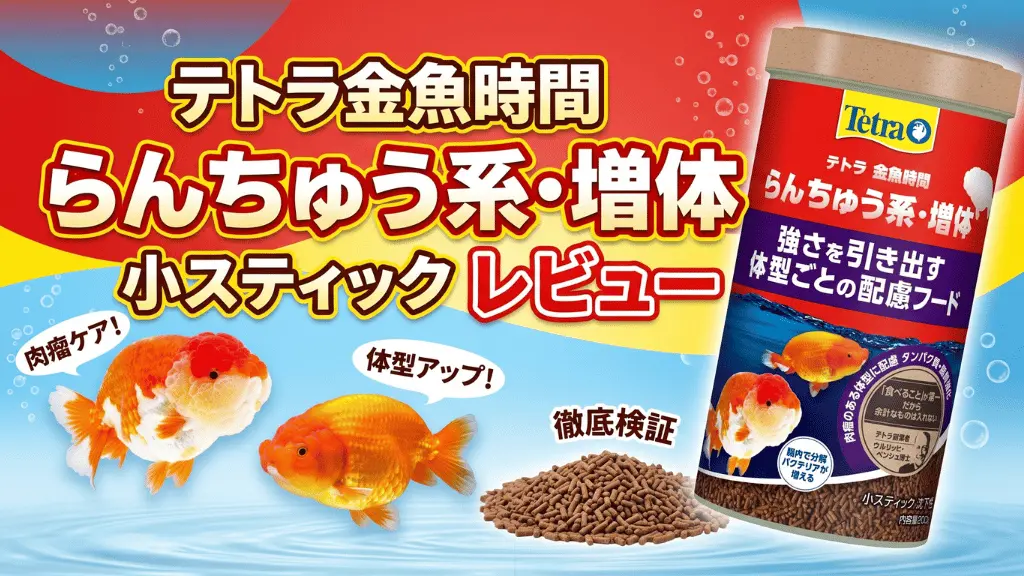 テトラ金魚時間らんちゅう系増体小スティックレビュー!メリットとデメリットを解説