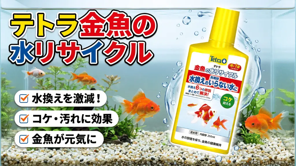 テトラ金魚の水リサイクルレビュー!メリットとデメリットを解説
