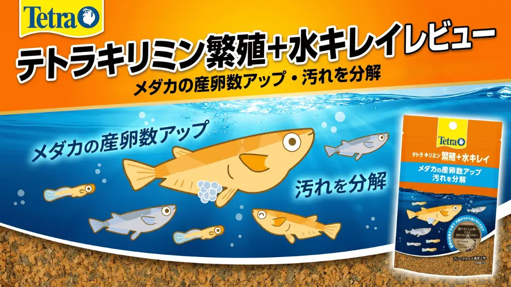 テトラキリミン繁殖＋水キレイレビュー！メリットとデメリットを解説