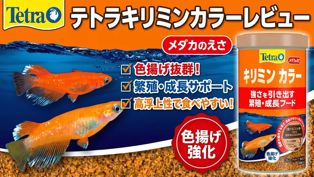 テトラキリミンカラーレビュー!メリットとデメリットを解説