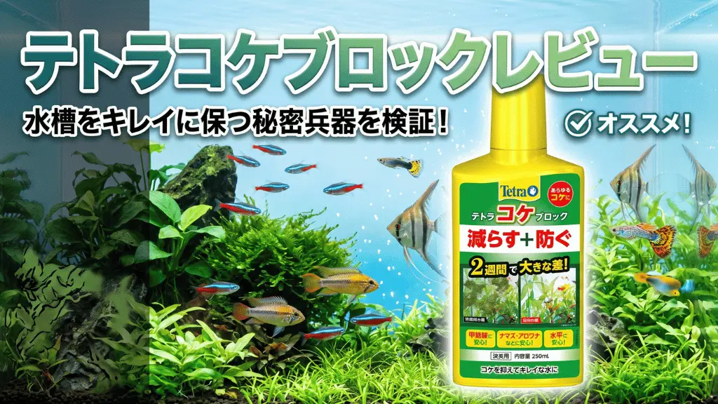 テトラコケブロックレビュー！メリットとデメリットを解説