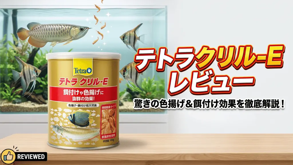 テトラクリル-Eレビュー!メリットとデメリットを解説