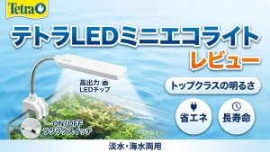 テトラLEDミニエコライトレビュー！メリットとデメリットを解説