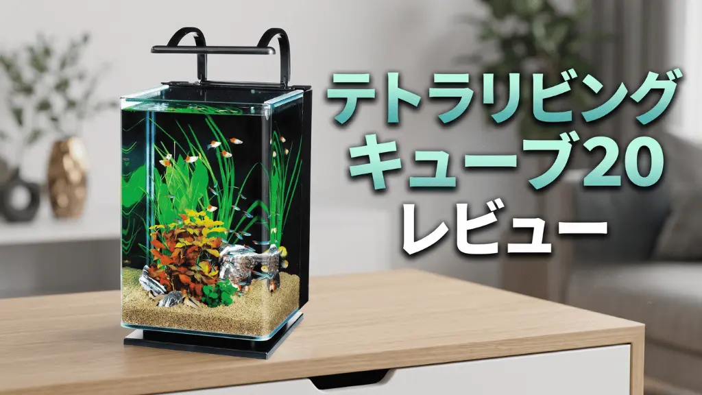 テトラリビングキューブ20レビュー！メリットとデメリットを解説