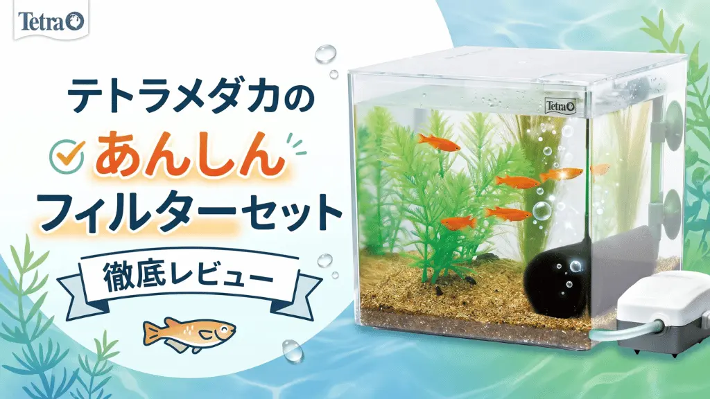 テトラメダカのあんしんフィルターセットレビュー！メリットとデメリットを解説