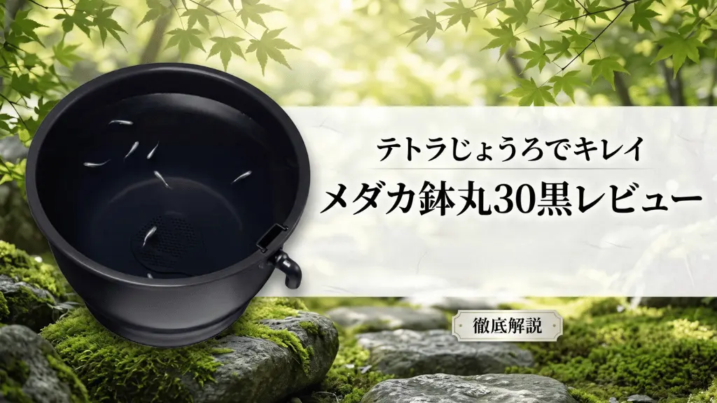 テトラじょうろでキレイメダカ鉢丸30黒レビュー！メリットとデメリットを解説