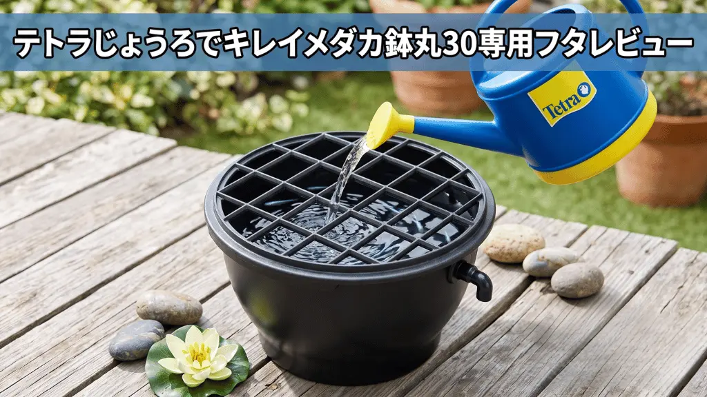 テトラじょうろでキレイメダカ鉢丸30専用フタレビュー！メリットとデメリットを解説