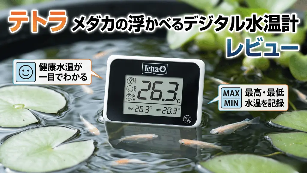テトラメダカの浮かべるデジタル水温計レビュー！メリットとデメリットを解説
