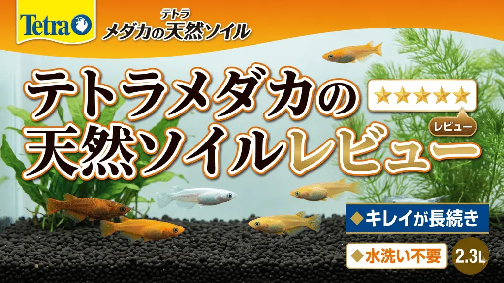 テトラメダカの天然ソイルレビュー！メリットとデメリットを解説