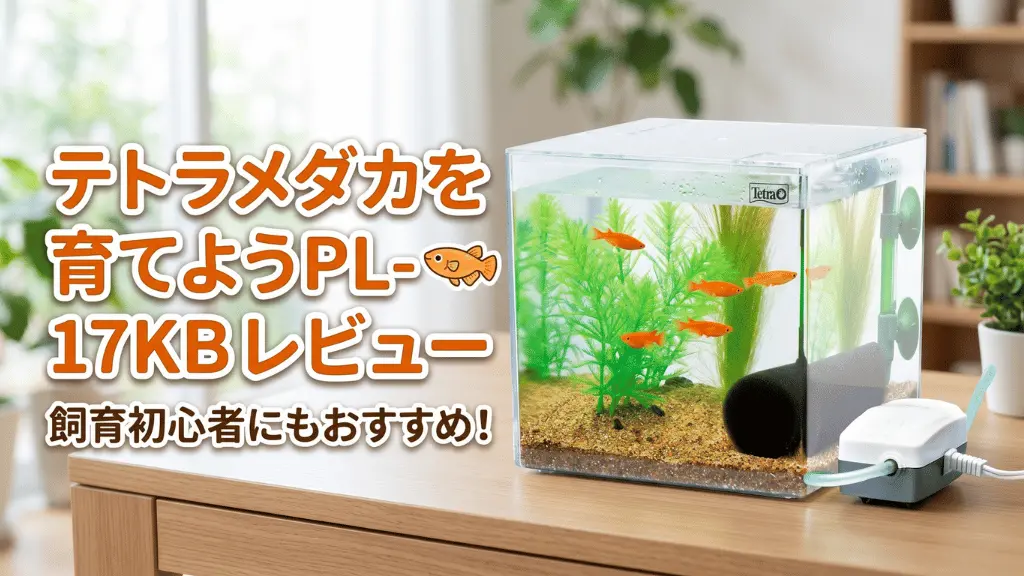 テトラメダカを育てようPL-17KBレビュー！メリットとデメリットを解説