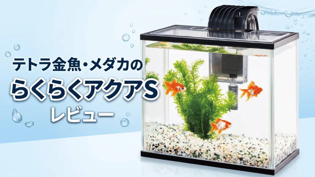 テトラ金魚・メダカのらくらくアクアSレビュー！メリットとデメリットを解説