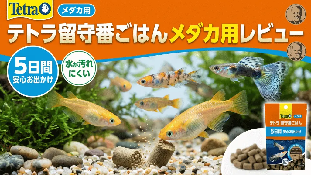 テトラ留守番ごはんメダカ用レビュー！メリットとデメリットを解説