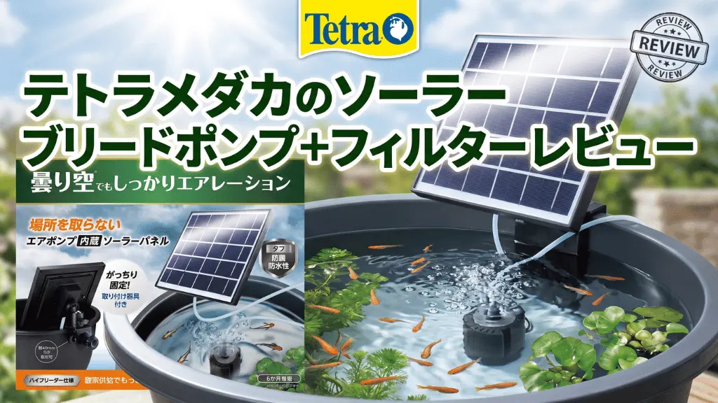 テトラメダカのソーラーブリードポンプ+フィルターレビュー!メリットとデメリットを解説