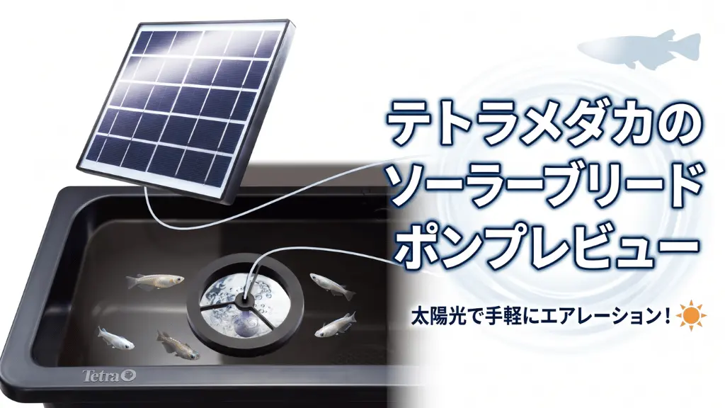 テトラメダカのソーラーブリードポンプレビュー!メリットとデメリットを解説