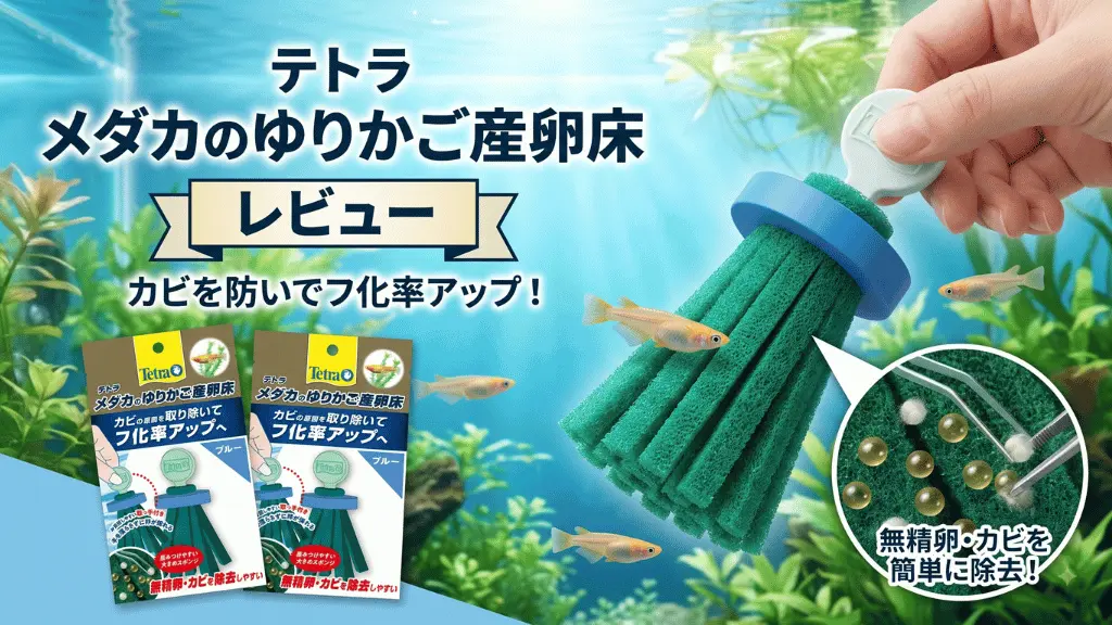テトラメダカのゆりかご産卵床レビュー！メリットとデメリットを解説