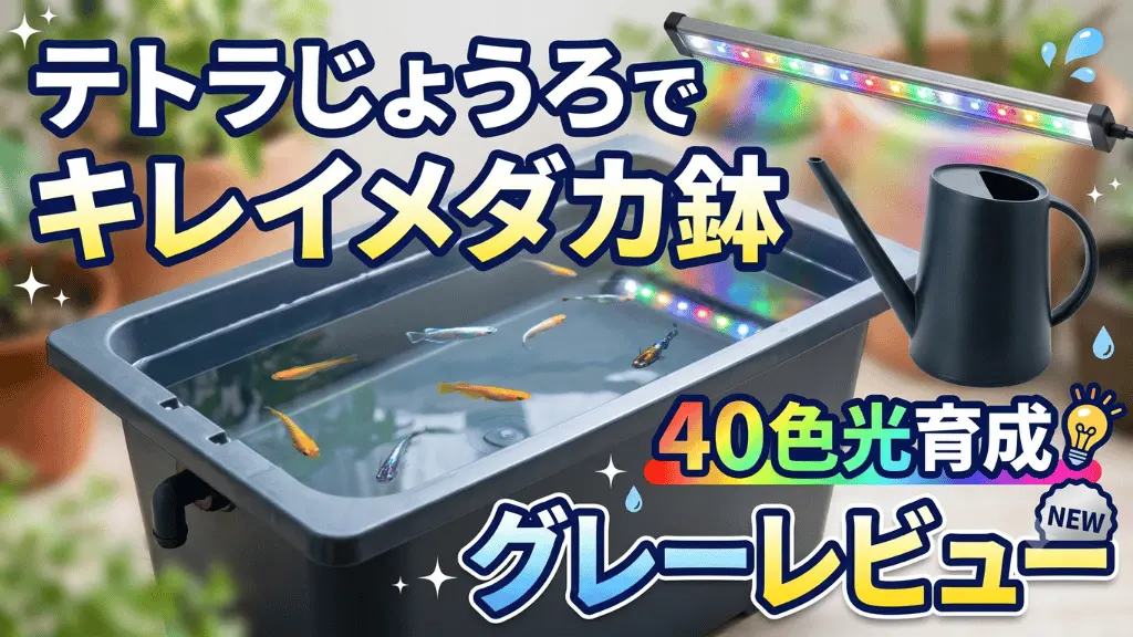 テトラじょうろでキレイメダカ鉢40色光育成グレーレビュー!メリットとデメリットを解説