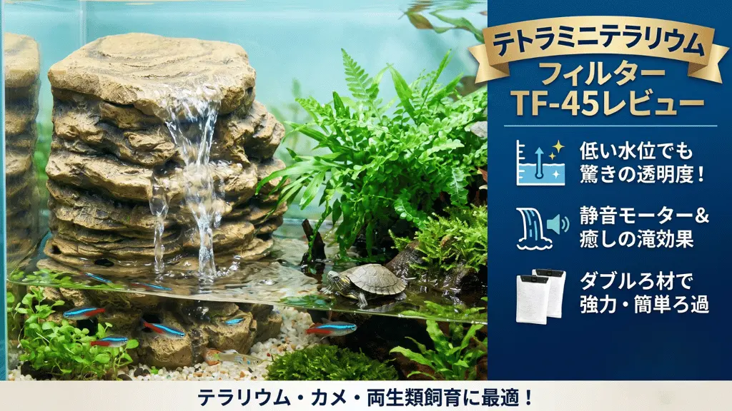 テトラミニテラリウムフィルターTF-45レビュー！メリットとデメリットを解説