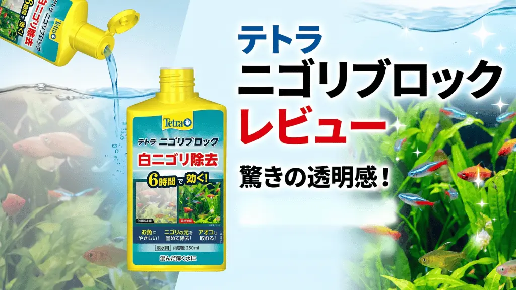 テトラニゴリブロックレビュー！メリットとデメリットを解説
