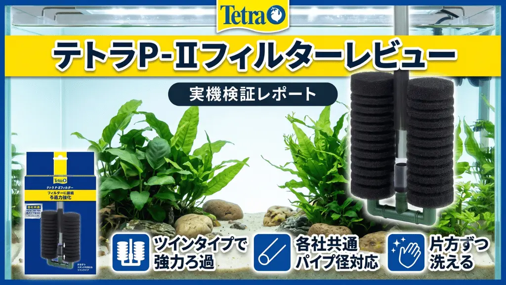 テトラP-Ⅱフィルターレビュー！メリットとデメリットを解説