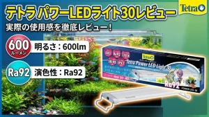テトラパワーLEDライト30レビュー！メリットとデメリットを解説