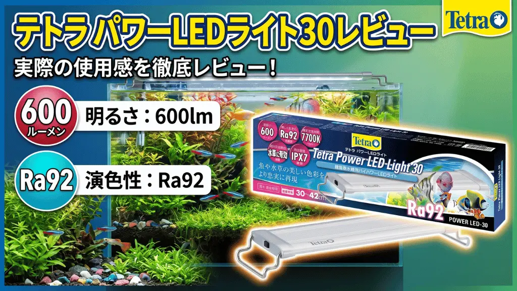 テトラパワーLEDライト30レビュー！メリットとデメリットを解説