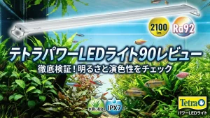 テトラパワーLEDライト90レビュー！メリットとデメリットを解説