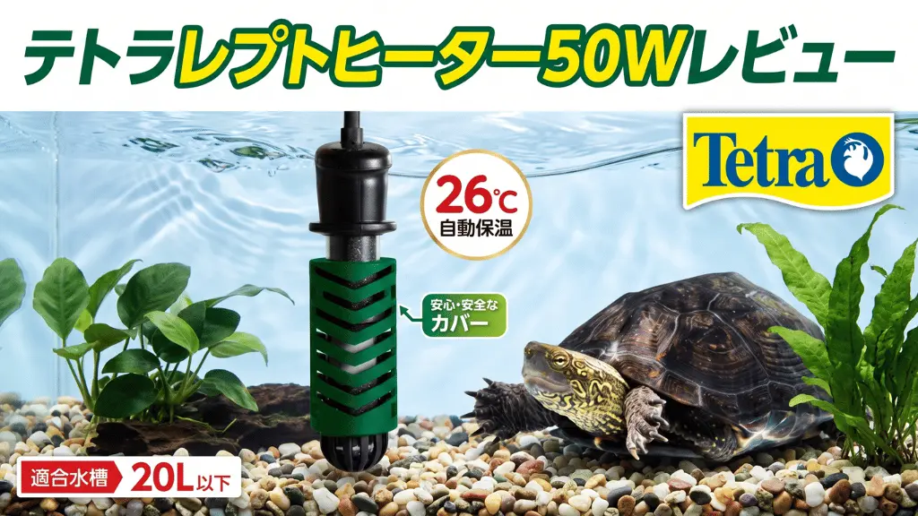 テトラレプトヒーター50Wレビュー!メリットとデメリットを解説
