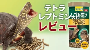 テトラレプトミン大粒レビュー！メリットとデメリットを解説