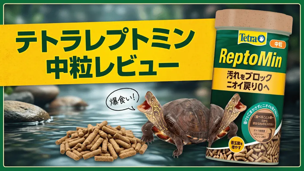 テトラレプトミン中粒レビュー！メリットとデメリットを解説