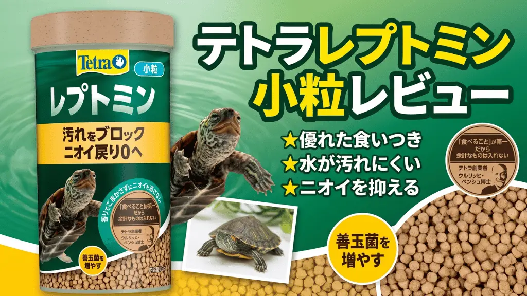 テトラレプトミン小粒レビュー！メリットとデメリットを解説