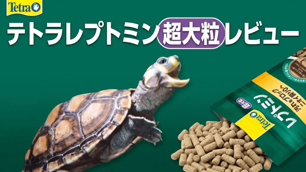テトラレプトミン超大粒レビュー！メリットとデメリットを解説