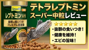 テトラレプトミンスーパー中粒レビュー！メリットとデメリットを解説