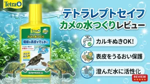 テトラレプトセイフカメの水つくりレビュー！メリットとデメリットを解説