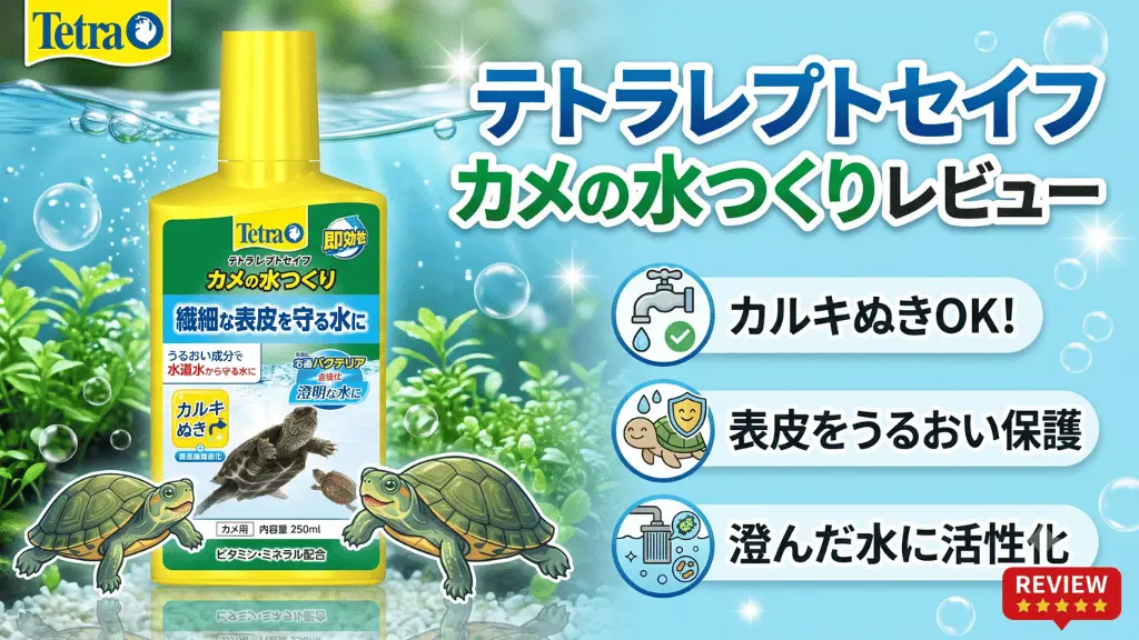 テトラレプトセイフカメの水つくりレビュー！メリットとデメリットを解説