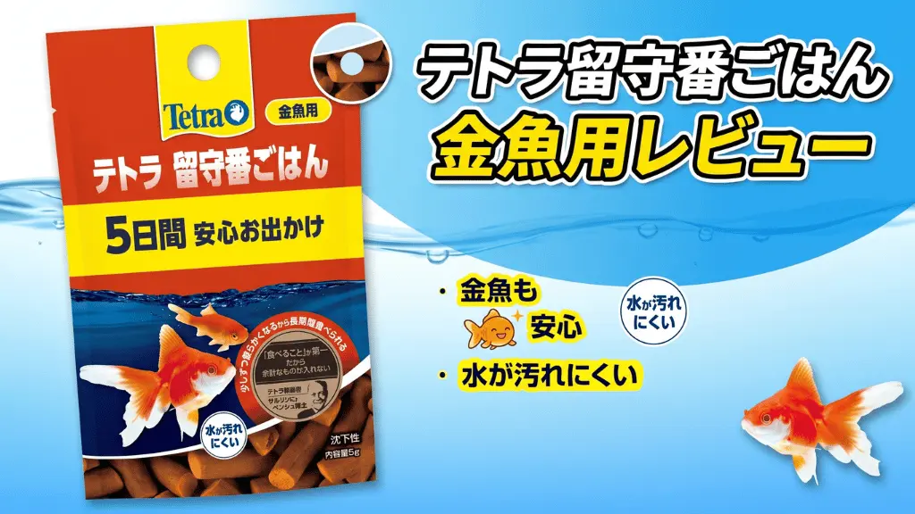 テトラ留守番ごはん金魚用レビュー！メリットとデメリットを解説