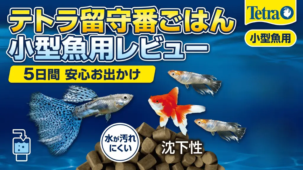 テトラ留守番ごはん小型魚用レビュー！メリットとデメリットを解説