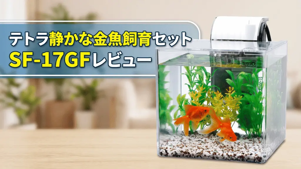 テトラ静かな金魚飼育セットSF-17GFレビュー！メリットとデメリットを解説