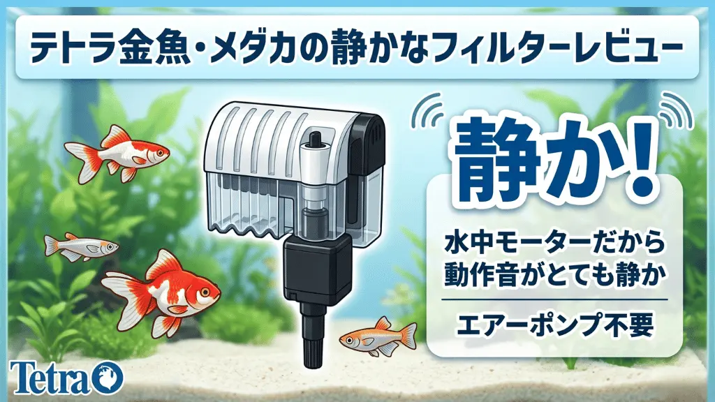 テトラ金魚・メダカの静かなフィルターレビュー！メリットとデメリットを解説