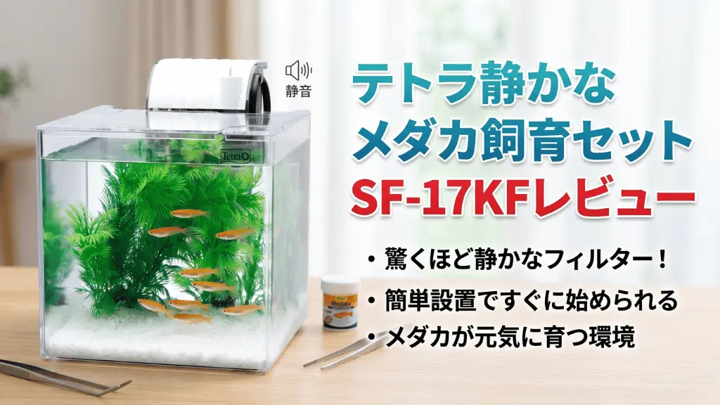 テトラ静かなメダカ飼育セットSF-17KFレビュー！メリットとデメリットを解説