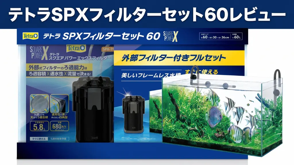 テトラSPXフィルターセット60レビュー！メリットとデメリットを解説