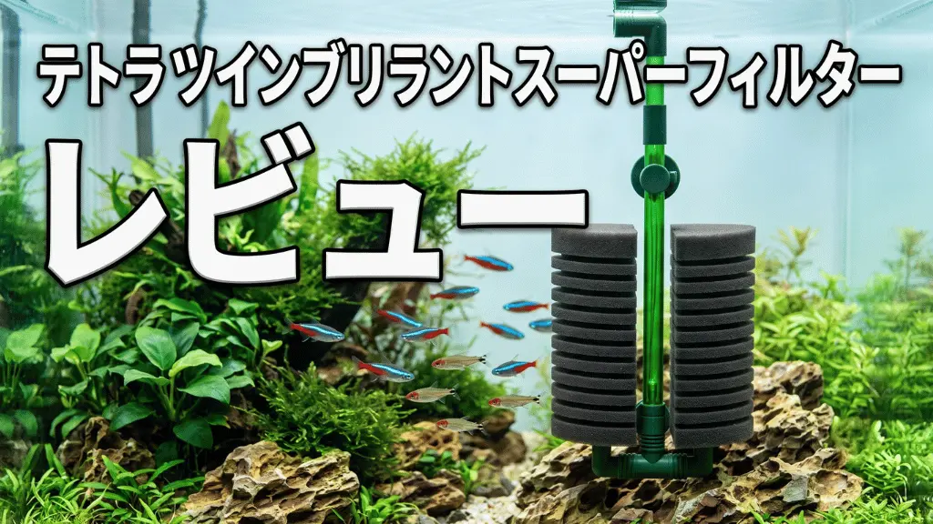 テトラツインブリラントスーパーフィルターレビュー！メリットとデメリットを解説