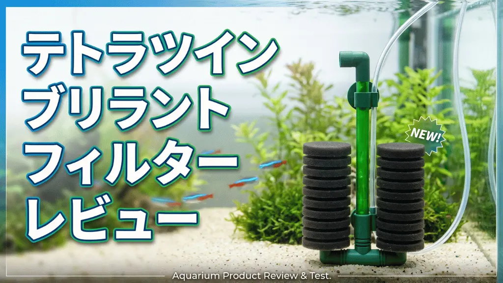 テトラツインブリラントフィルターレビュー！メリットとデメリットを解説