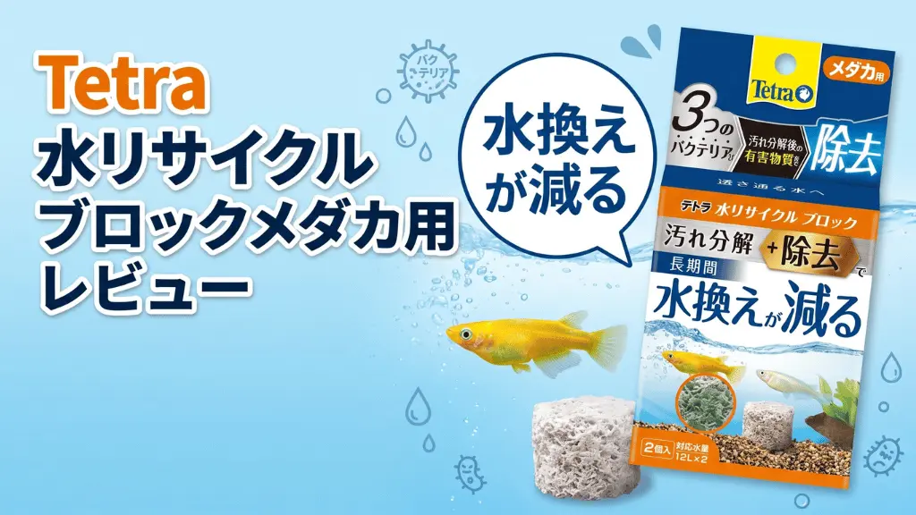 テトラ水リサイクルブロックメダカ用レビュー！メリットとデメリットを解説