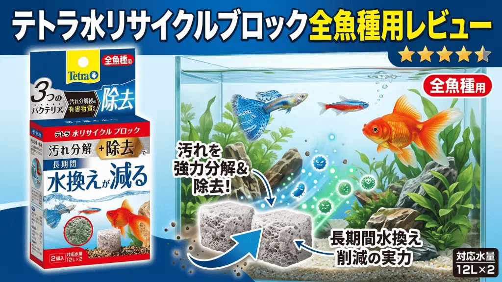 テトラ水リサイクルブロック全魚種用レビュー！メリットとデメリットを解説